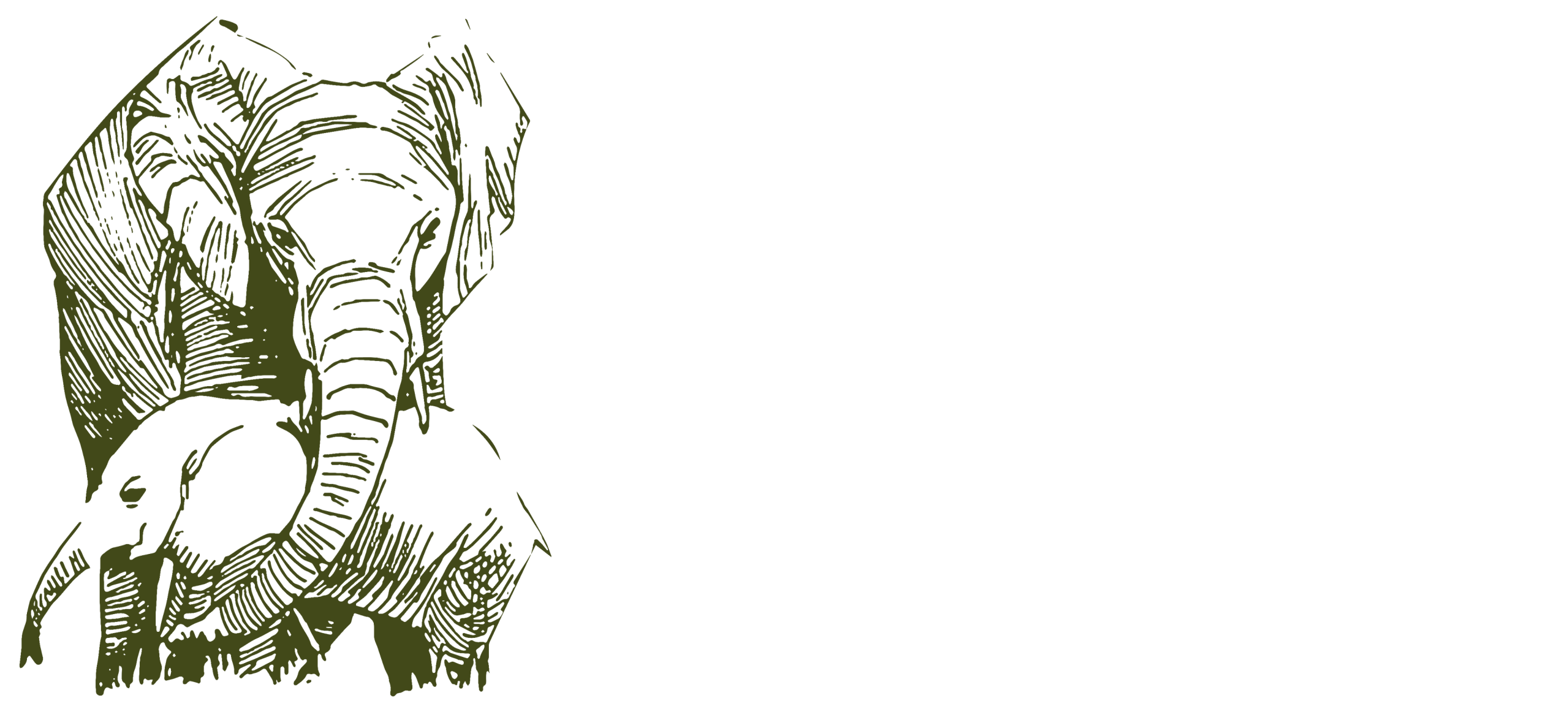 into wilderness tours