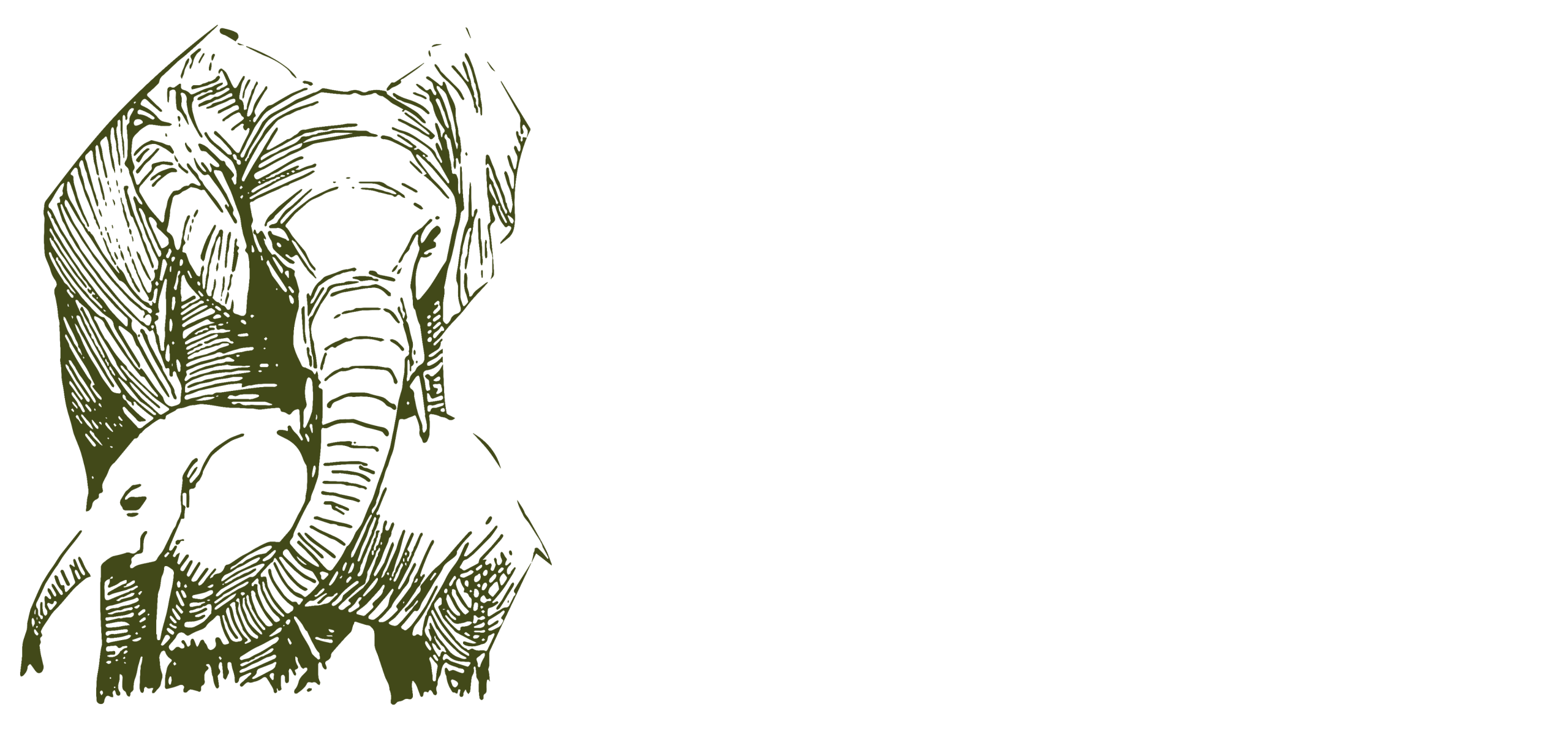 into wilderness tours